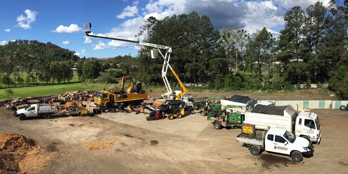 Steve Cubis Tree Services - Cherry picker operation