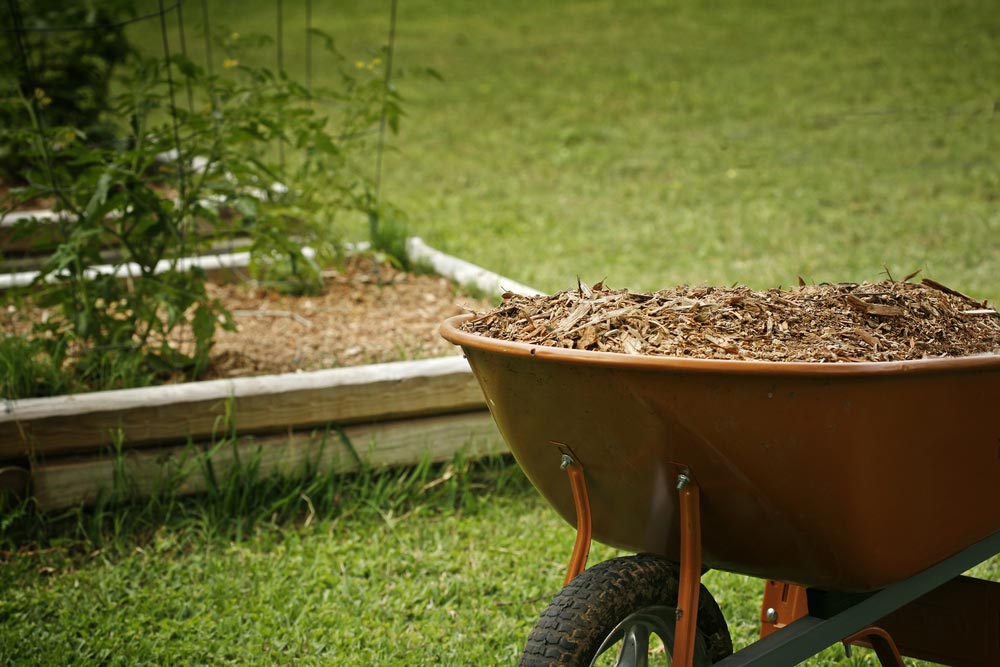 Chipping & Mulching