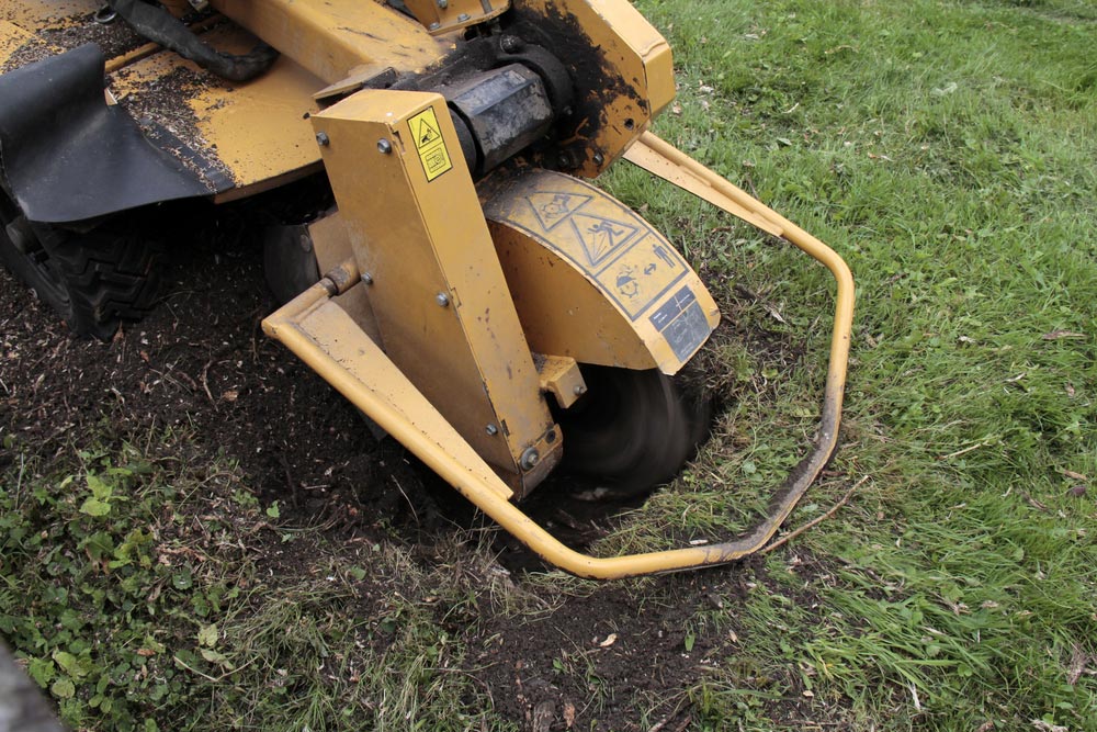 Stump Grinding