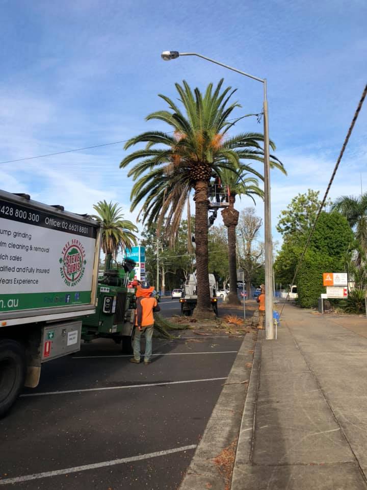 Tree service team